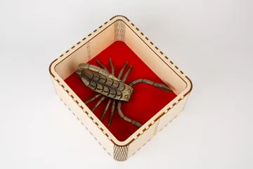 Kovan škorpijon, figura, člen za členom