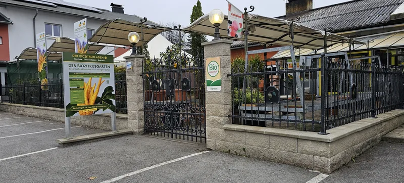 Kovana ograja za teraso Ceron