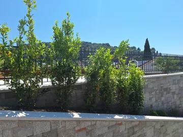 Kovana vrtna ograja in vrata, Portorož, detajl 3